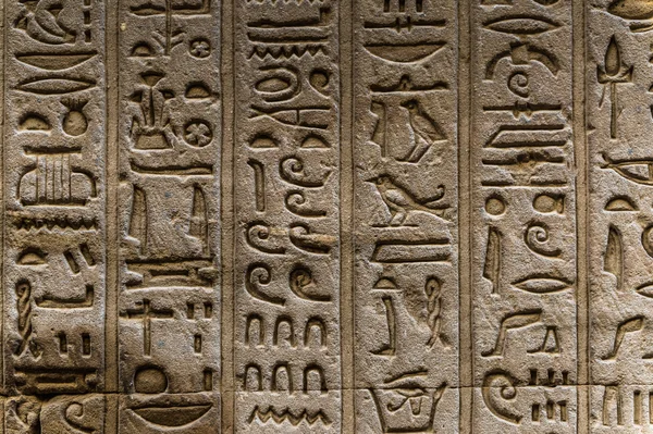 Egyptiska hieroglyfer på väggen i Horus tempel i Egypten — Stockfoto