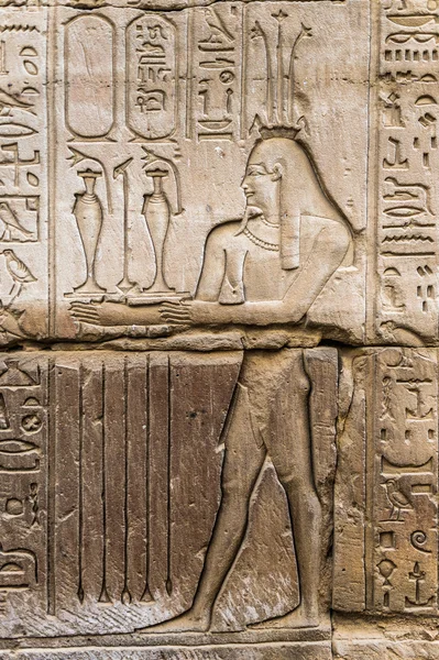 Egyptische hiërogliefen op de muur van de tempel van Horus in Egypte — Stockfoto