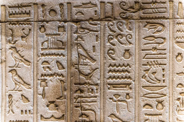 Egyptiska hieroglyfer på väggen i Horus tempel i Egypten — Stockfoto