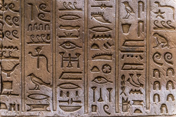 Egyptian hieroglyphs on the wall of the Horus temple in Egypt — Stock Photo, Image