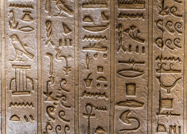 埃及象形文字埃及的荷鲁斯寺庙的墙上 — 图库照片