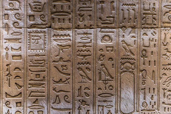 Αιγυπτιακά ιερογλυφικά στον τοίχο του ναού Horus στην Αίγυπτο — Φωτογραφία Αρχείου