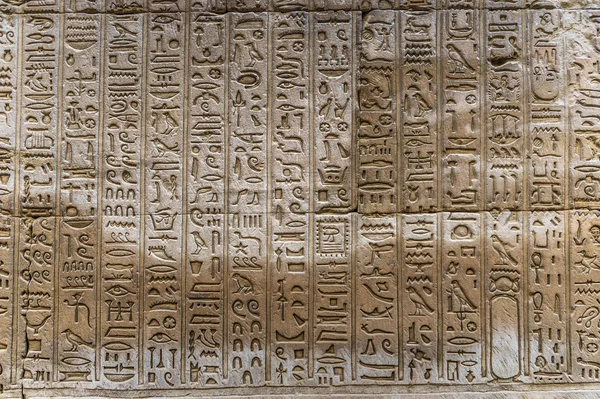 Jeroglíficos egipcios en la pared del templo de Horus en Egipto — Foto de Stock