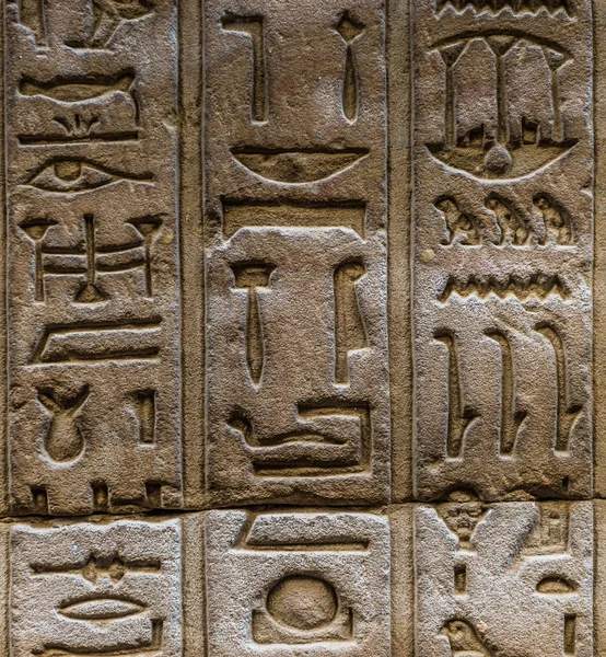 Egyptische hiërogliefen op de muur van de tempel van Horus in Egypte — Stockfoto