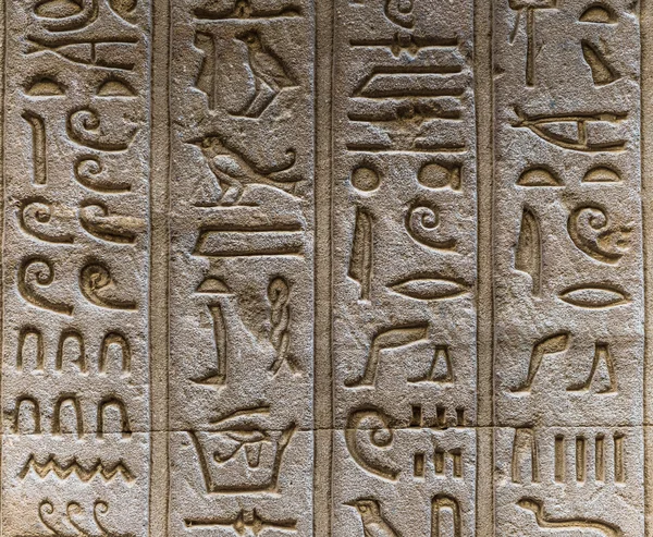 Egyptiska hieroglyfer på väggen i Horus tempel i Egypten — Stockfoto