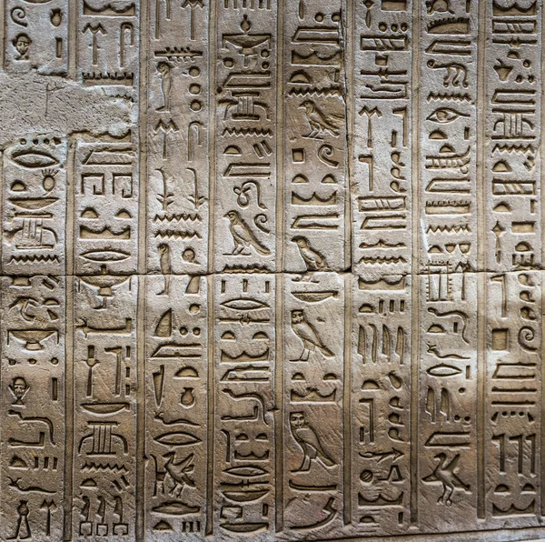 Egipskie hieroglify na ścianie świątyni Horusa w Egipcie — Zdjęcie stockowe