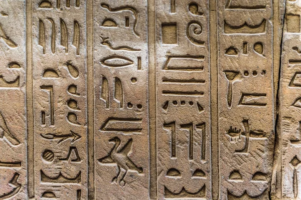 Egyptian hieroglyphs on the wall of the Horus temple in Egypt — Stock Photo, Image