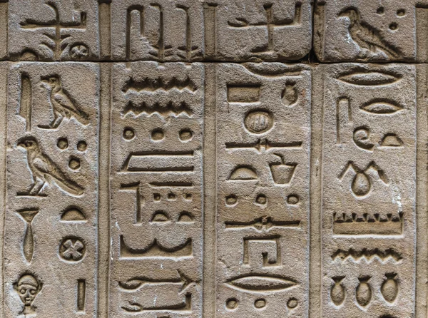 Egyptische hiërogliefen op de muur van de tempel van Horus in Egypte — Stockfoto
