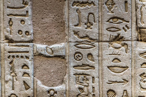 Egyptiska hieroglyfer på väggen i Horus tempel i Egypten — Stockfoto