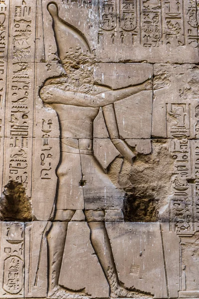 Egyptiska hieroglyfer på väggen i Horus tempel i Egypten — Stockfoto