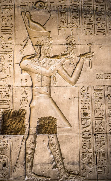 Egyptiske hieroglyfer på veggen av Horus-tempelet i Egypt – stockfoto