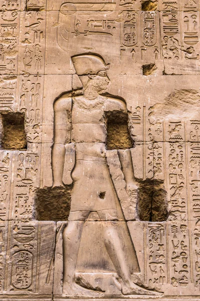 Egyptian hieroglyphs on the wall of the Horus temple in Egypt — Stock Photo, Image