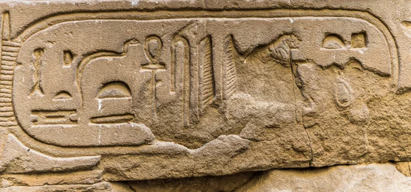 Egyptiska hieroglyfer på väggen i Horus tempel i Egypten — Stockfoto