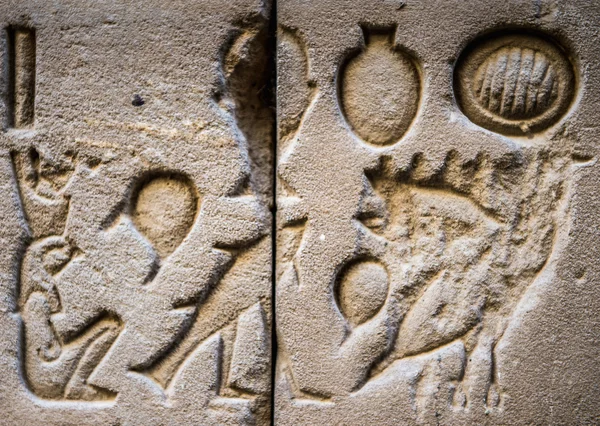 Jeroglíficos egipcios en la pared del templo de Horus en Egipto —  Fotos de Stock