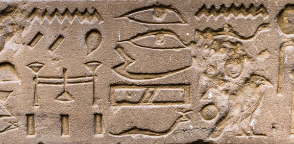 Hiéroglyphes égyptiens sur le mur du temple Horus en Egypte — Photo