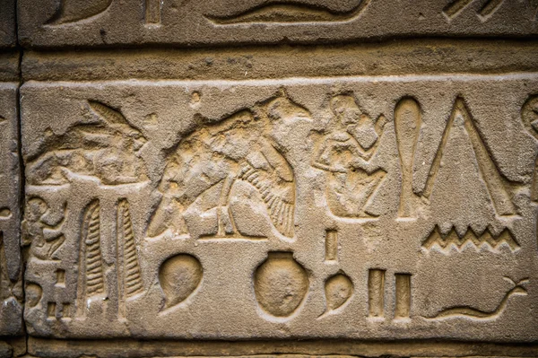 Egyptiska hieroglyfer på väggen i Horus tempel i Egypten — Stockfoto