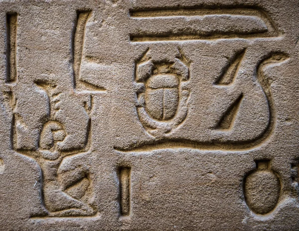 Hieróglifos egípcios na parede do templo de Hórus no Egito — Fotografia de Stock