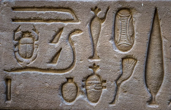 Hiéroglyphes égyptiens sur le mur du temple Horus en Egypte — Photo