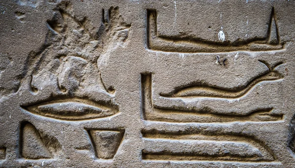 Egyptian hieroglyphs on the wall of the Horus temple in Egypt — Stock Photo, Image