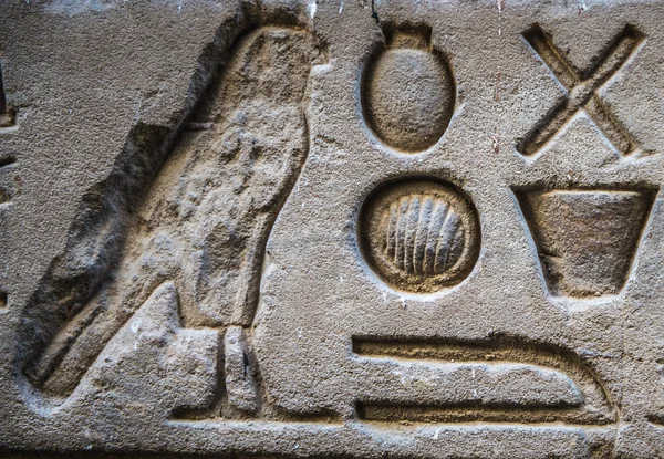 Ägyptische Hieroglyphen an der Wand des Horus-Tempels in Ägypten — Stockfoto