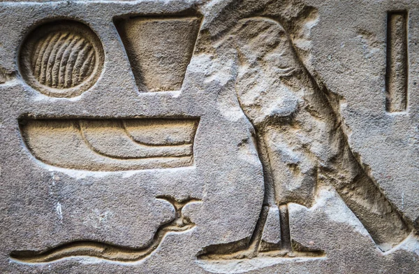 Geroglifici egizi sulla parete del tempio di Horus in Egitto — Foto Stock