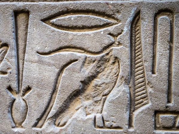 Egyptiska hieroglyfer på väggen i Horus tempel i Egypten — Stockfoto