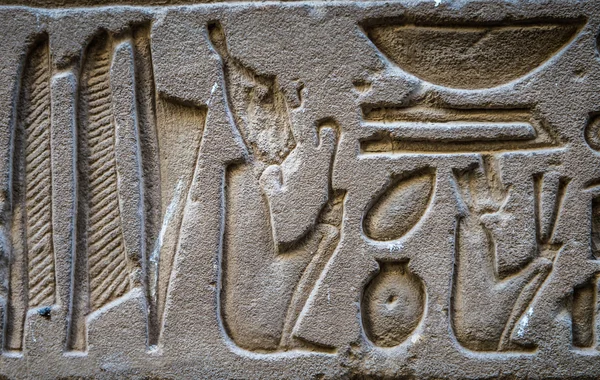 Egyptian hieroglyphs on the wall of the Horus temple in Egypt — Stock Photo, Image