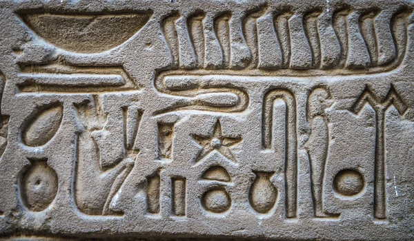 Egyptian hieroglyphs on the wall of the Horus temple in Egypt — Stock Photo, Image