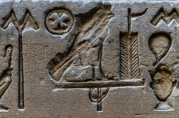 Ägyptische Hieroglyphen an der Wand des Horus-Tempels in Ägypten — Stockfoto