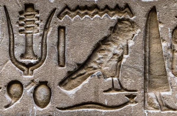 Egyptiska hieroglyfer på väggen i Horus tempel i Egypten — Stockfoto