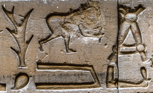 Egyptské hieroglyfy na zdi chrámu Horovi v Egyptě — Stock fotografie