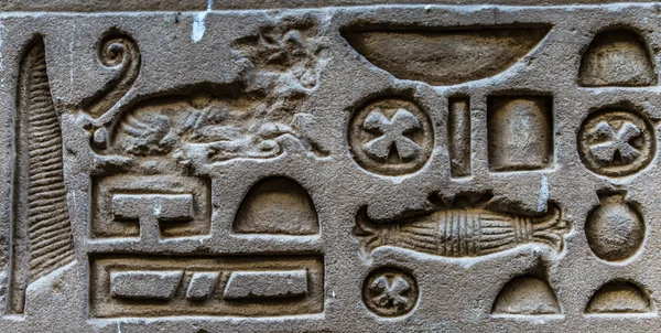 Hiéroglyphes égyptiens sur le mur du temple Horus en Egypte — Photo