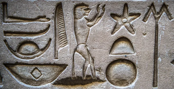 Египетские иероглифы на стене храма Гора в Египте — стоковое фото