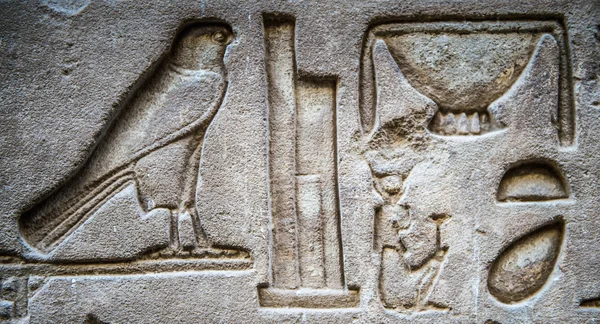 ヒエログリフ エジプトのホルス神殿の壁に — ストック写真