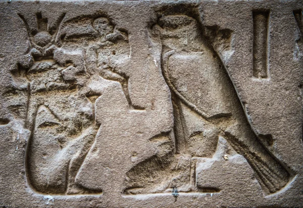 Egyptské hieroglyfy na zdi chrámu Horovi v Egyptě — Stock fotografie