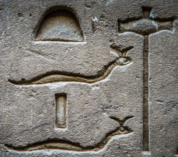 Egyptian hieroglyphs on the wall of the Horus temple in Egypt — Stock Photo, Image