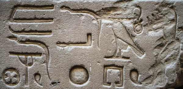 Hieróglifos egípcios na parede do templo de Hórus no Egito — Fotografia de Stock