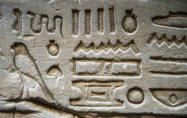 Ägyptische Hieroglyphen an der Wand des Horus-Tempels in Ägypten — Stockfoto