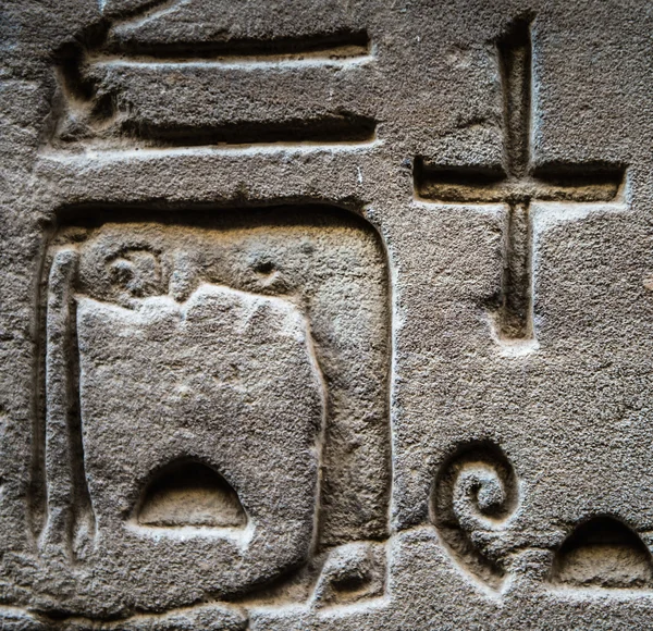 A falon a Szobek templomban Kom Ombo, Egyiptom, egyiptomi hieroglifák megfejtése — Stock Fotó