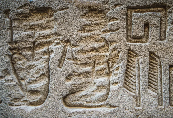 Egyptische hiërogliefen op de muur in de Sobek tempel in Kom Ombo, Egypte — Stockfoto