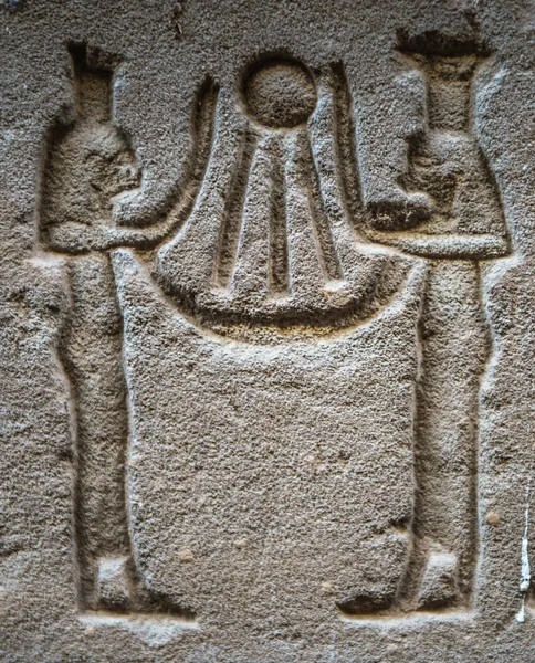 Hieróglifos egípcios na parede do templo de Sobek em Kom Ombo, Egito — Fotografia de Stock