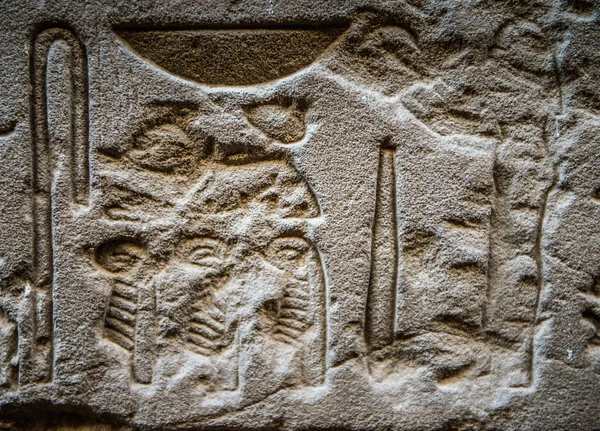Jeroglíficos egipcios en la pared del templo Sobek en Kom Ombo, Egipto — Foto de Stock
