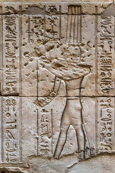 Jeroglíficos egipcios en la pared del templo Sobek en Kom Ombo, Egipto —  Fotos de Stock