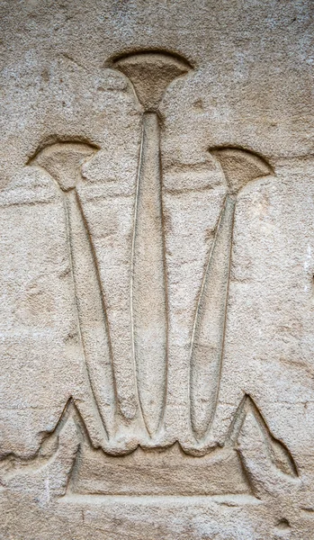 Hiéroglyphes égyptiens sur le mur dans le temple Sobek à Kom Ombo, Egypte — Photo