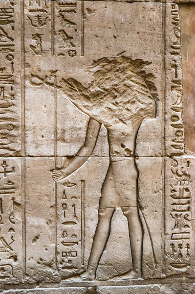 Jeroglíficos egipcios en la pared del templo Sobek en Kom Ombo, Egipto —  Fotos de Stock
