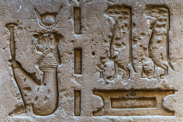 Egyptské hieroglyfy na zdi v chrámu Sobek v Kóm Ombo, Egypt — Stock fotografie