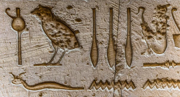 Egyptské hieroglyfy na zdi v chrámu Sobek v Kóm Ombo, Egypt — Stock fotografie