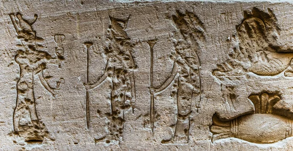 A falon a Szobek templomban Kom Ombo, Egyiptom, egyiptomi hieroglifák megfejtése — Stock Fotó