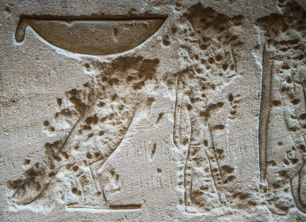 A falon a Szobek templomban Kom Ombo, Egyiptom, egyiptomi hieroglifák megfejtése — Stock Fotó