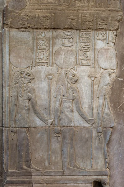 इजिप्तच्या कोम ओम्बो येथील सोबेक मंदिरात भिंतीवर इजिप्शियन हायरोग्लिफ्स — स्टॉक फोटो, इमेज